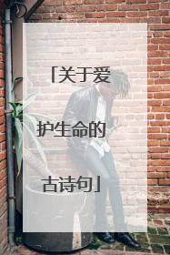 关于爱护生命的古诗句