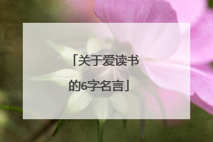 关于爱读书的6字名言