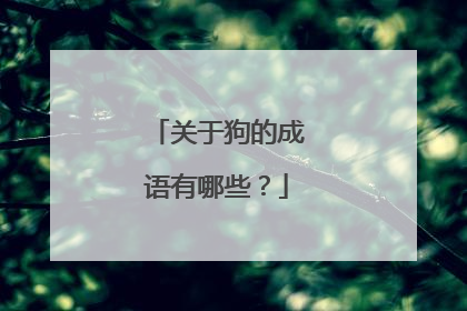 关于狗的成语有哪些?