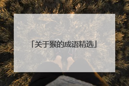 关于猴的成语精选