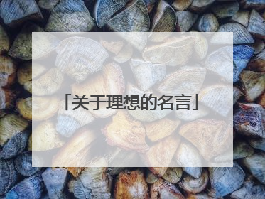 关于理想的名言