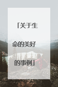 关于生命的美好的事例