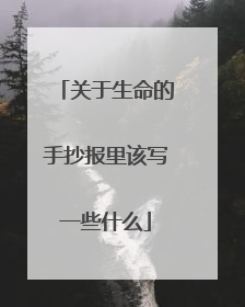 关于生命的手抄报里该写一些什么