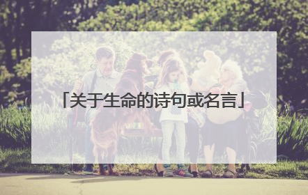 关于生命的诗句或名言