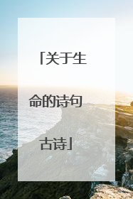 关于生命的诗句古诗