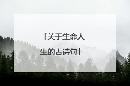 关于生命人生的古诗句