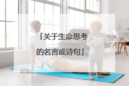 关于生命思考的名言或诗句