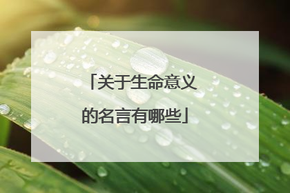 关于生命意义的名言有哪些