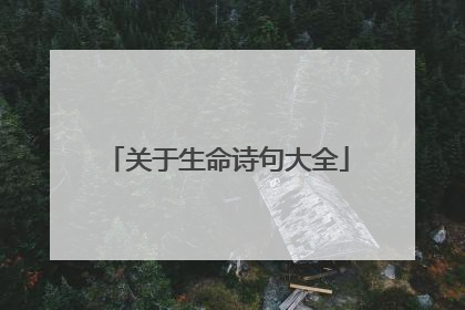 关于生命诗句大全