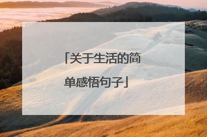 关于生活的简单感悟句子