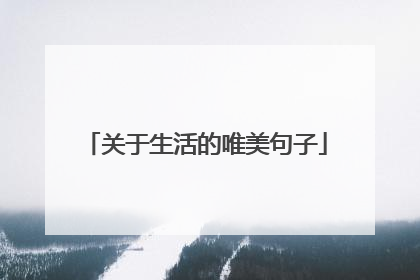 关于生活的唯美句子