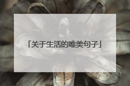 关于生活的唯美句子