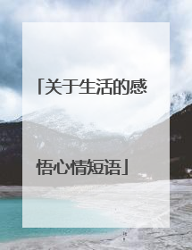 关于生活的感悟心情短语