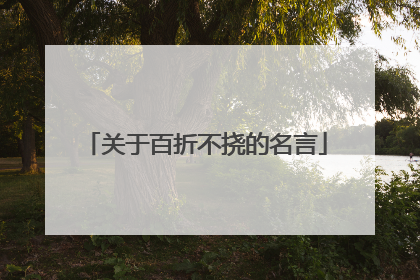 关于百折不挠的名言