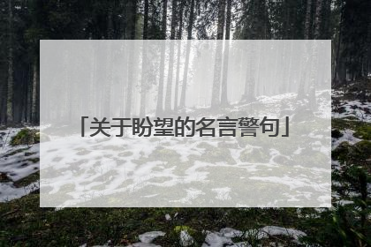 关于盼望的名言警句