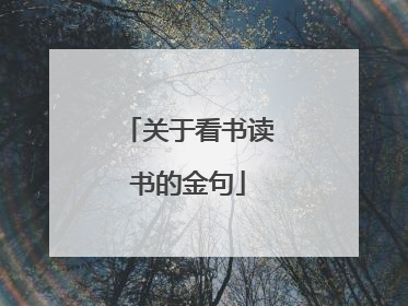 关于看书读书的金句