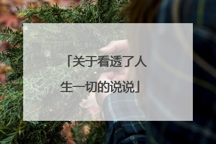 关于看透了人生一切的说说