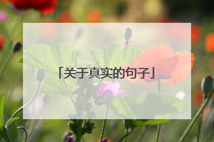 关于真实的句子