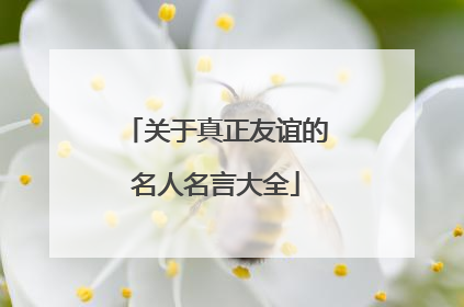 关于真正友谊的名人名言大全