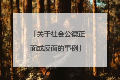 关于社会公德正面或反面的事例