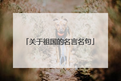 关于祖国的名言名句