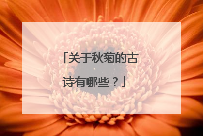 关于秋菊的古诗有哪些?