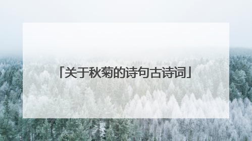 关于秋菊的诗句古诗词