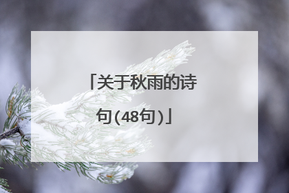 关于秋雨的诗句(48句)