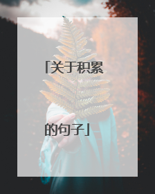 关于积累的句子