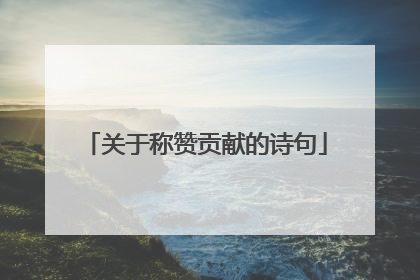 关于称赞贡献的诗句