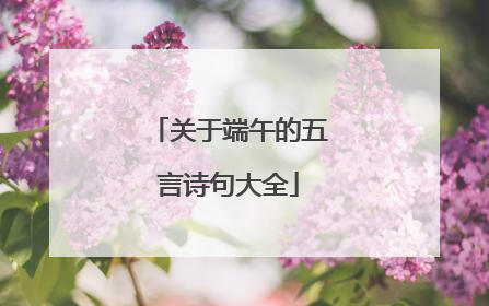 关于端午的五言诗句大全