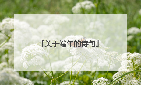 关于端午的诗句