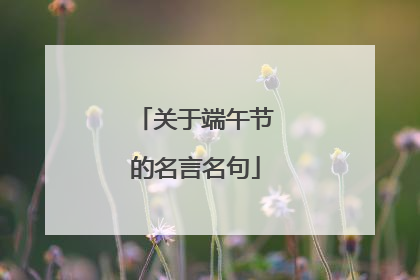 关于端午节的名言名句