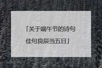关于端午节的诗句佳句良辰当五日
