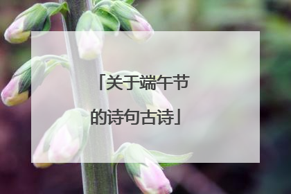 关于端午节的诗句古诗