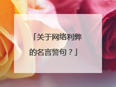 关于网络利弊的名言警句?