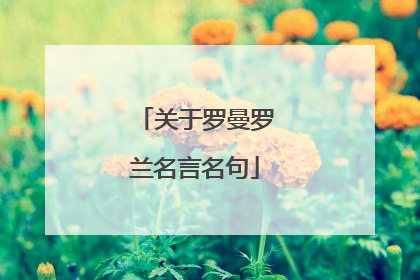 关于罗曼罗兰名言名句