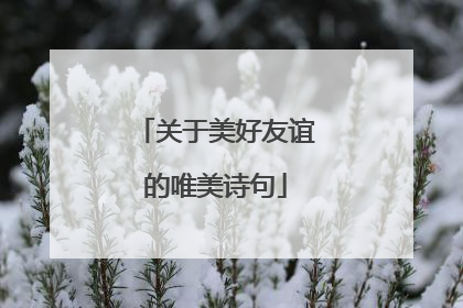 关于美好友谊的唯美诗句
