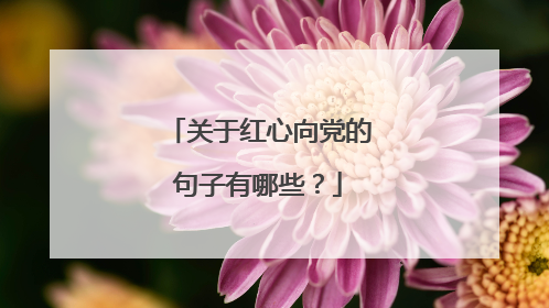 关于红心向党的句子有哪些?