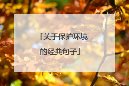 关于保护环境的经典句子