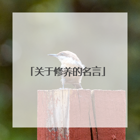 关于修养的名言