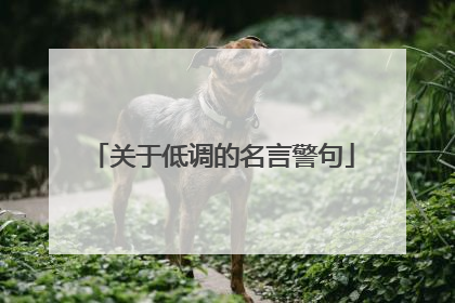关于低调的名言警句