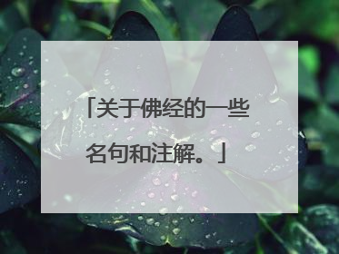 关于佛经的一些名句和注解。