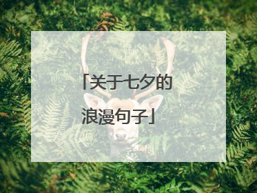 关于七夕的浪漫句子