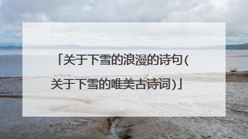 关于下雪的浪漫的诗句(关于下雪的唯美古诗词)