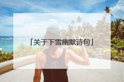 关于下雪幽默诗句