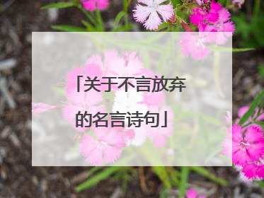 关于不言放弃的名言诗句