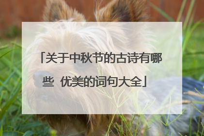 关于中秋节的古诗有哪些 优美的词句大全
