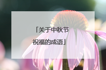 关于中秋节祝福的成语