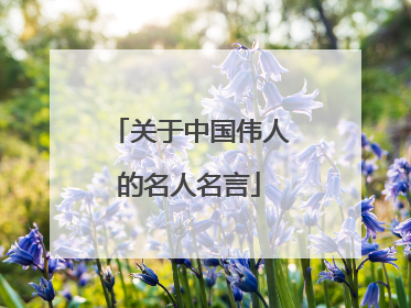 关于中国伟人的名人名言